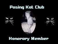 Posing Kat's Club